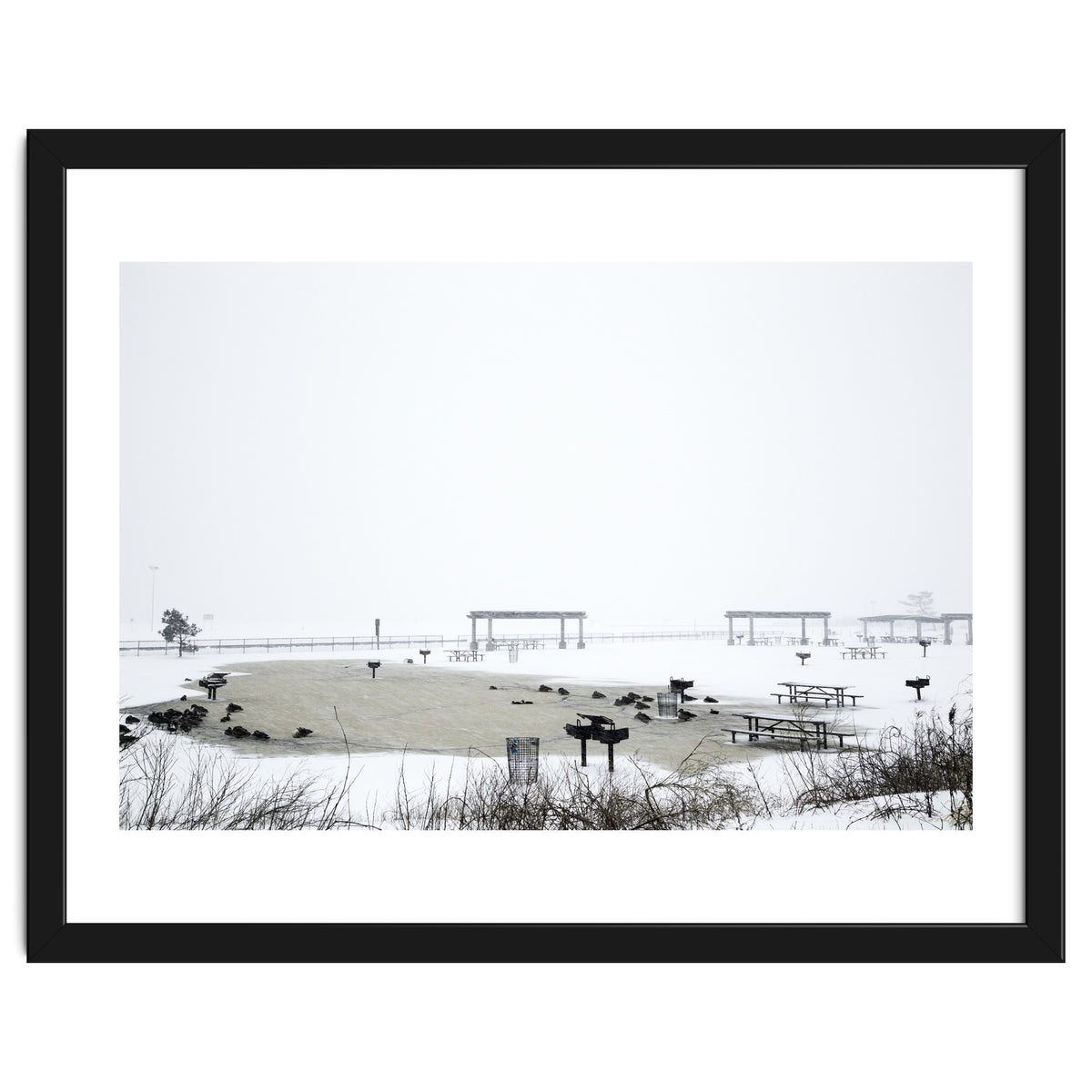 Blackbirds surrounding a frozen pond in winter