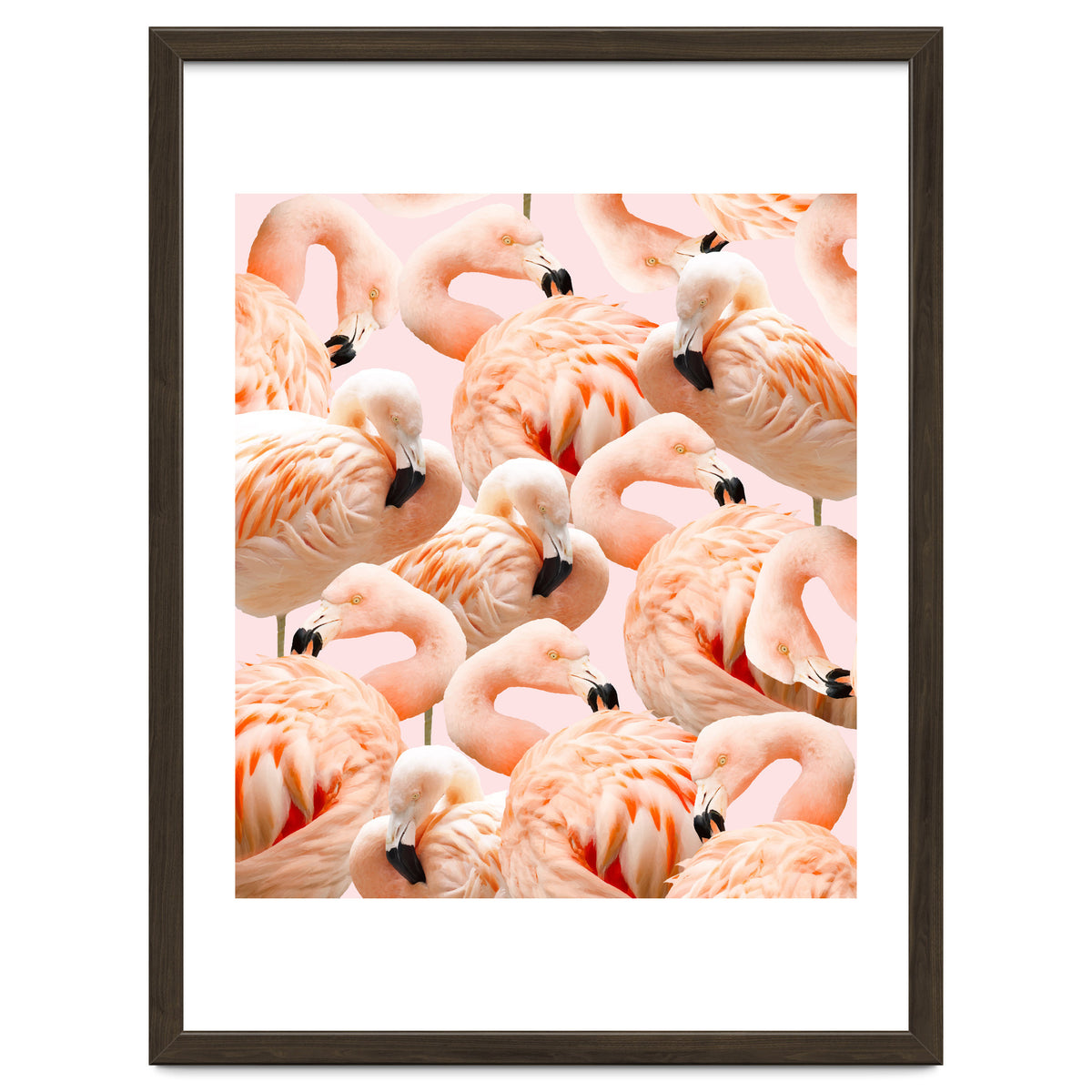 Flamingo Blush #society6 #decor #buyart #flamingoart