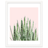 Botanical Balance thumbnail