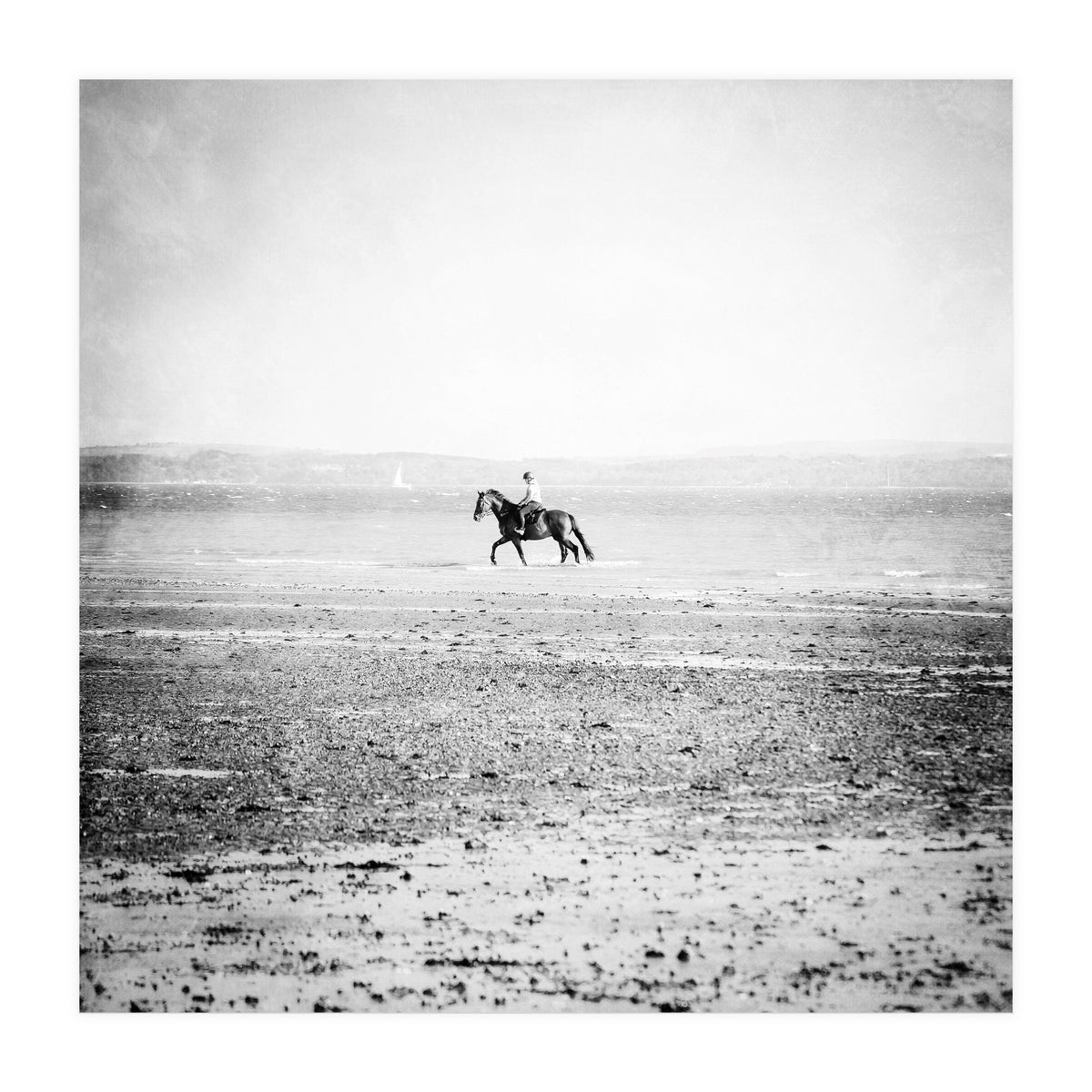 Sea Horse (Print Only)