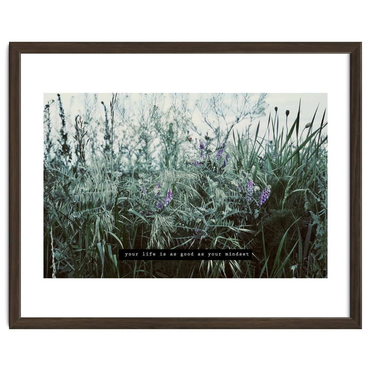 Photography - Summer Garden