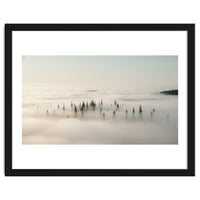 Misty Peaks: Pine Forest Above the Clouds