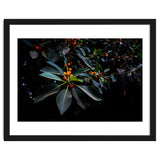 Orange, Green and Dark thumbnail