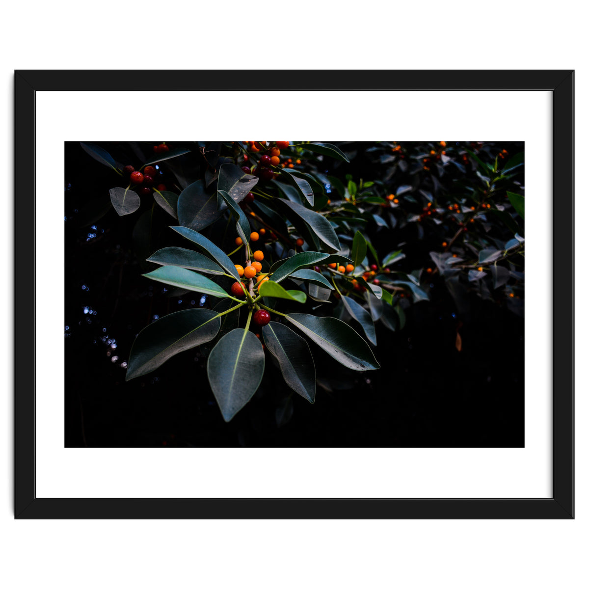 Orange, Green and Dark