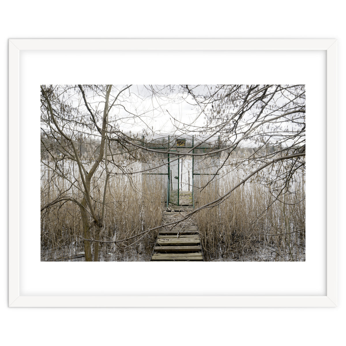 The gate to the lake