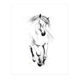 Runninh Ghorse In Water (Print Only) thumbnail