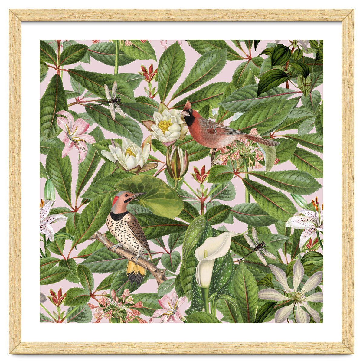 Tropical Bird Garden