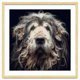 Old Dog 010 thumbnail