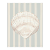 Sea shell (Print Only) thumbnail