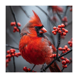 Northern Cardinal Bird Perched Among Red Berries (Print Only) thumbnail