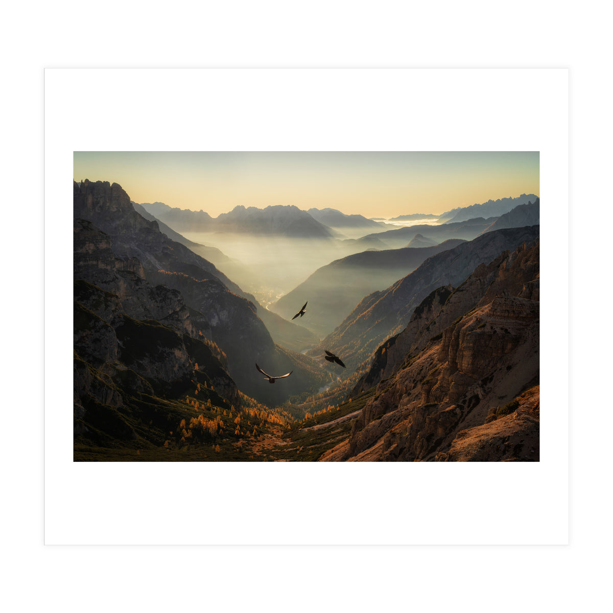 Fly away (Print Only)