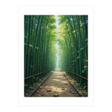 The Emerald Path: A Sun-Drenched Journey (Print Only) thumbnail