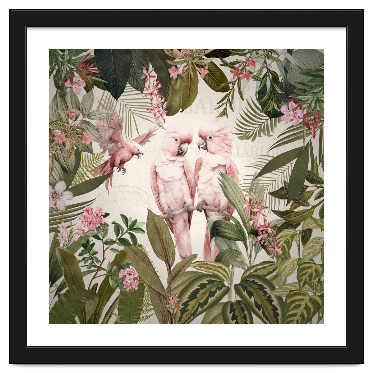 Pink Parrots Exotic Rainforest