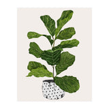 Fiddle Leaf Fig Tree Plant (Print Only) thumbnail