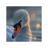 Close Up Of A Swan With Water Droplets (Print Only) thumbnail