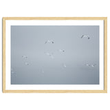 Flying seagulls in the winter sky thumbnail
