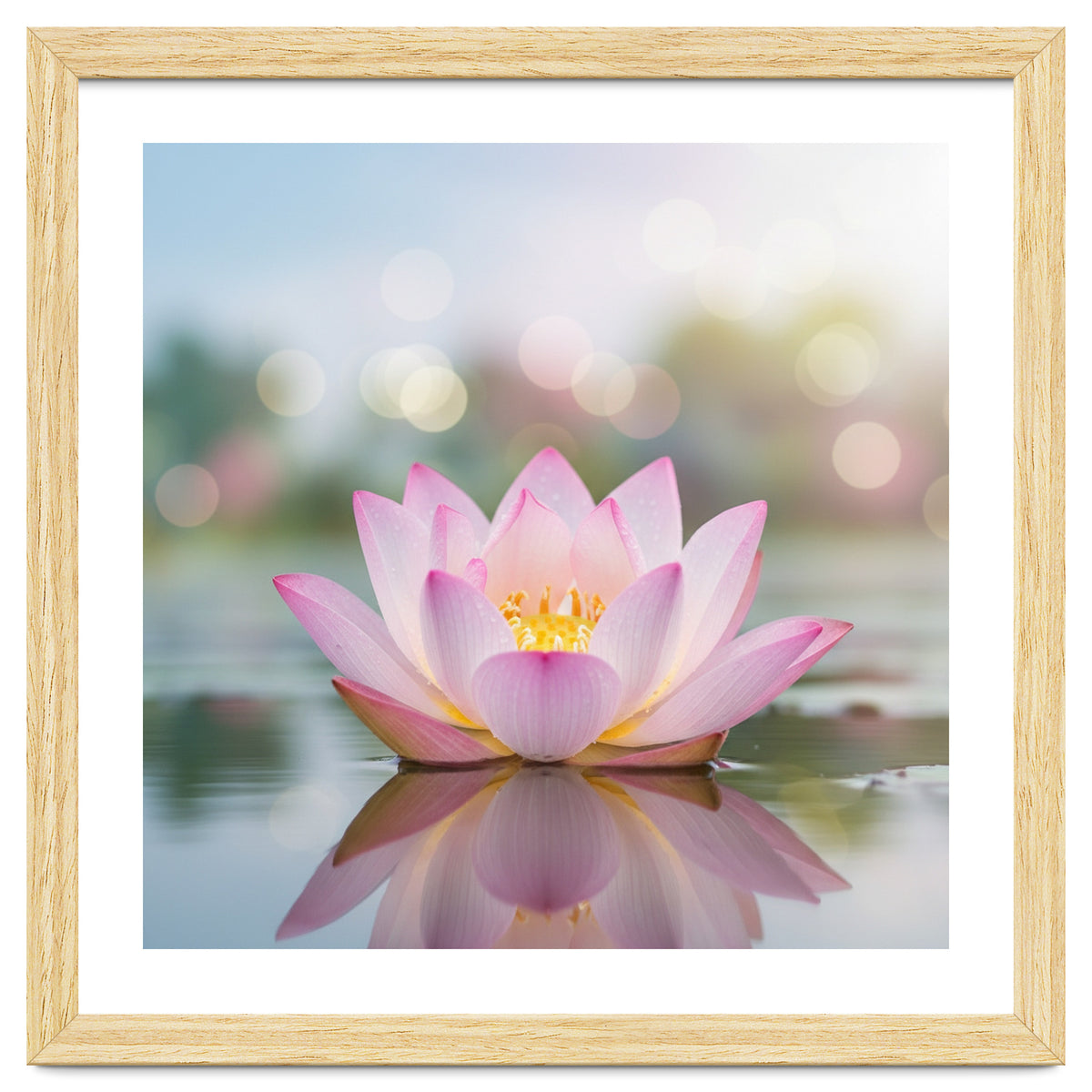 Ethereal Lotus Bloom: Serene Botanical Reflection