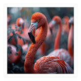 Beautiful Close Up Of A Pink Flamingo Bird (Print Only) thumbnail