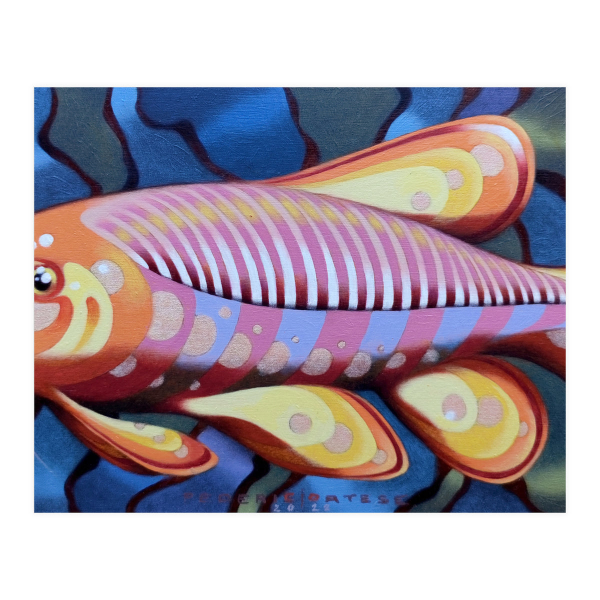 Little fish (Print Only)