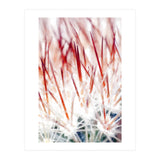 Delicate Florals (Print Only) thumbnail