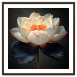 Lotus Cultivar | Midnight Skirt thumbnail