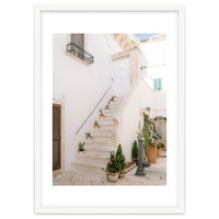 Stairs with cacti