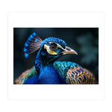 Peacock Head Close Up Majestic Blue Bird (Print Only) thumbnail