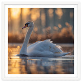 Majestic Swan Gliding On Water At Sunset thumbnail