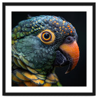 Close Up Of A Colorful Parrot's Face