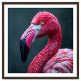 Close Up Pink Flamingo In Rain Drops thumbnail
