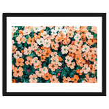Floral Bliss, Nature Photography Garden Meadow, Blush Orange Coral Summer Flowers Botanical thumbnail
