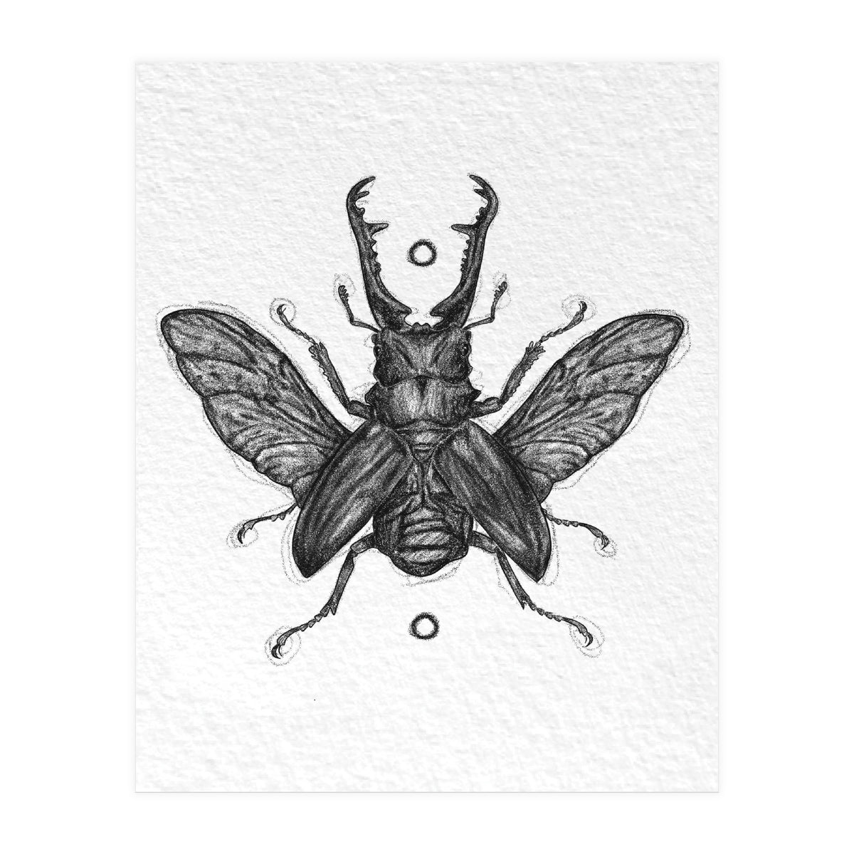 Giraffen Hirschkäfer (Print Only)