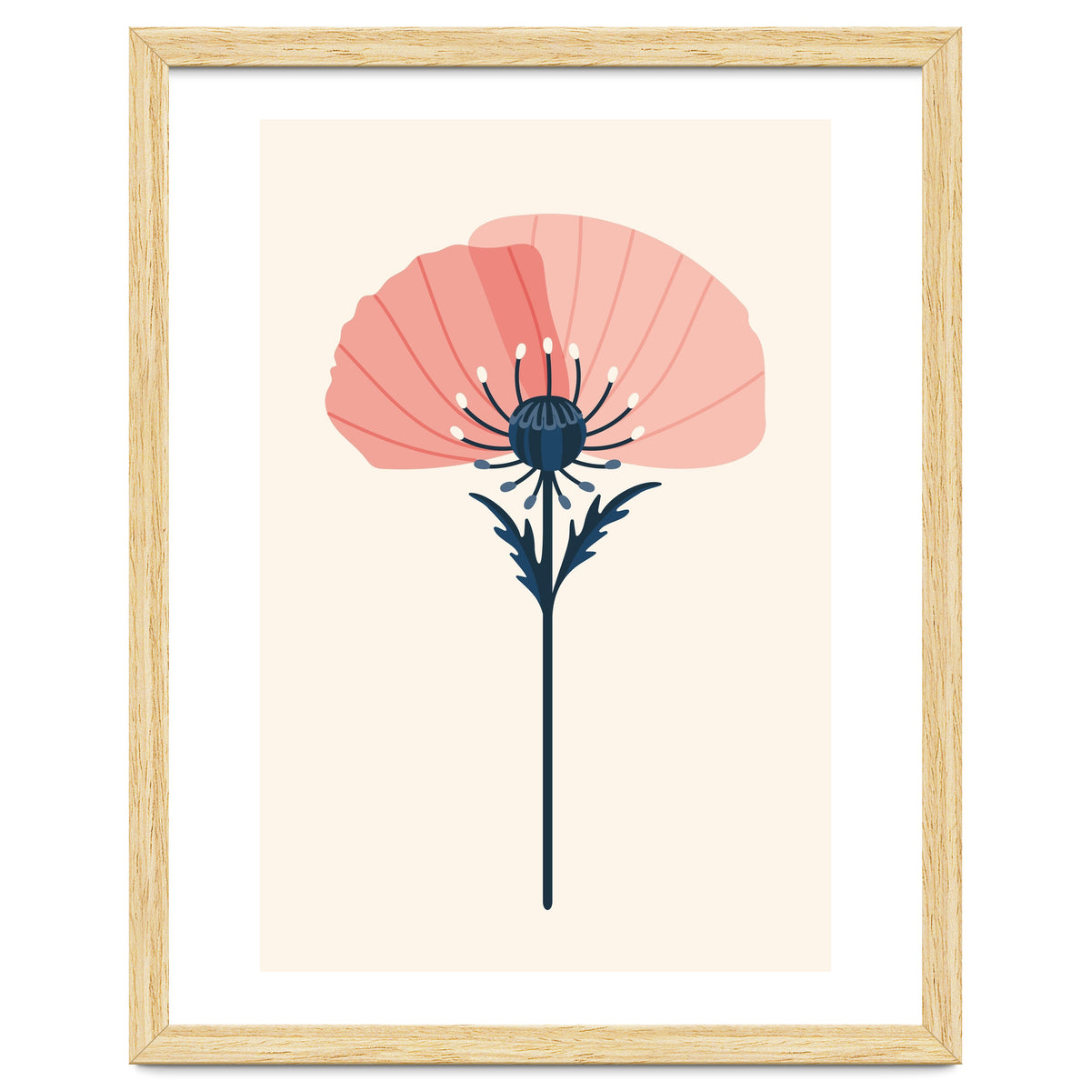 Pink Half Poppy