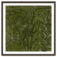 Forest Dense Foliage