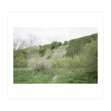 Green grass wall (Print Only) thumbnail
