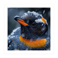 Close Up Penguin In Snow With Water Droplets (Print Only)