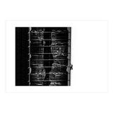 Window Washing No 4 (Print Only) thumbnail