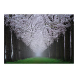 Cherry trees in the fog (Print Only) thumbnail