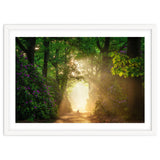 Hare in paradise thumbnail
