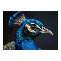 Close Up Peacock Head Blue Green Feather  (Print Only)