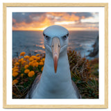 Albatross Bird With Intense Gaze By The Sea thumbnail