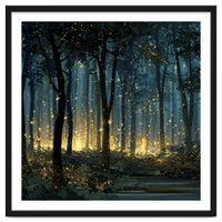 Enchanted Midnight Forest with Glowing Fireflies