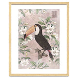 Exotic Bird Toucan thumbnail