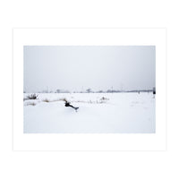 Drinking fountain covered with snow (Print Only)