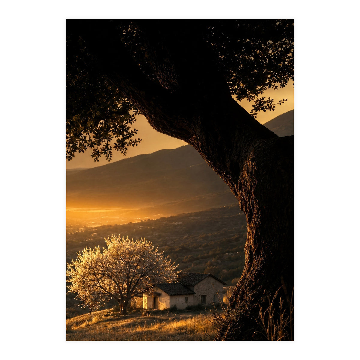 The Hill (Print Only)