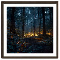 Enchanted Midnight Forest with Glowing Fireflies