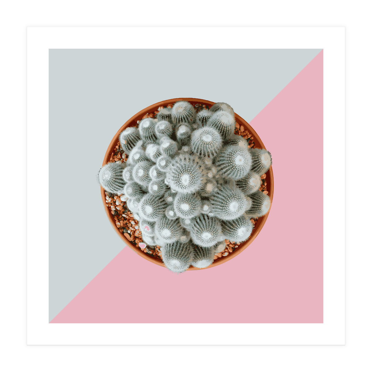 Clementine (Print Only)