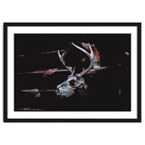 Deer Skull thumbnail