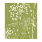 Wildflowers III (Print Only) thumbnail