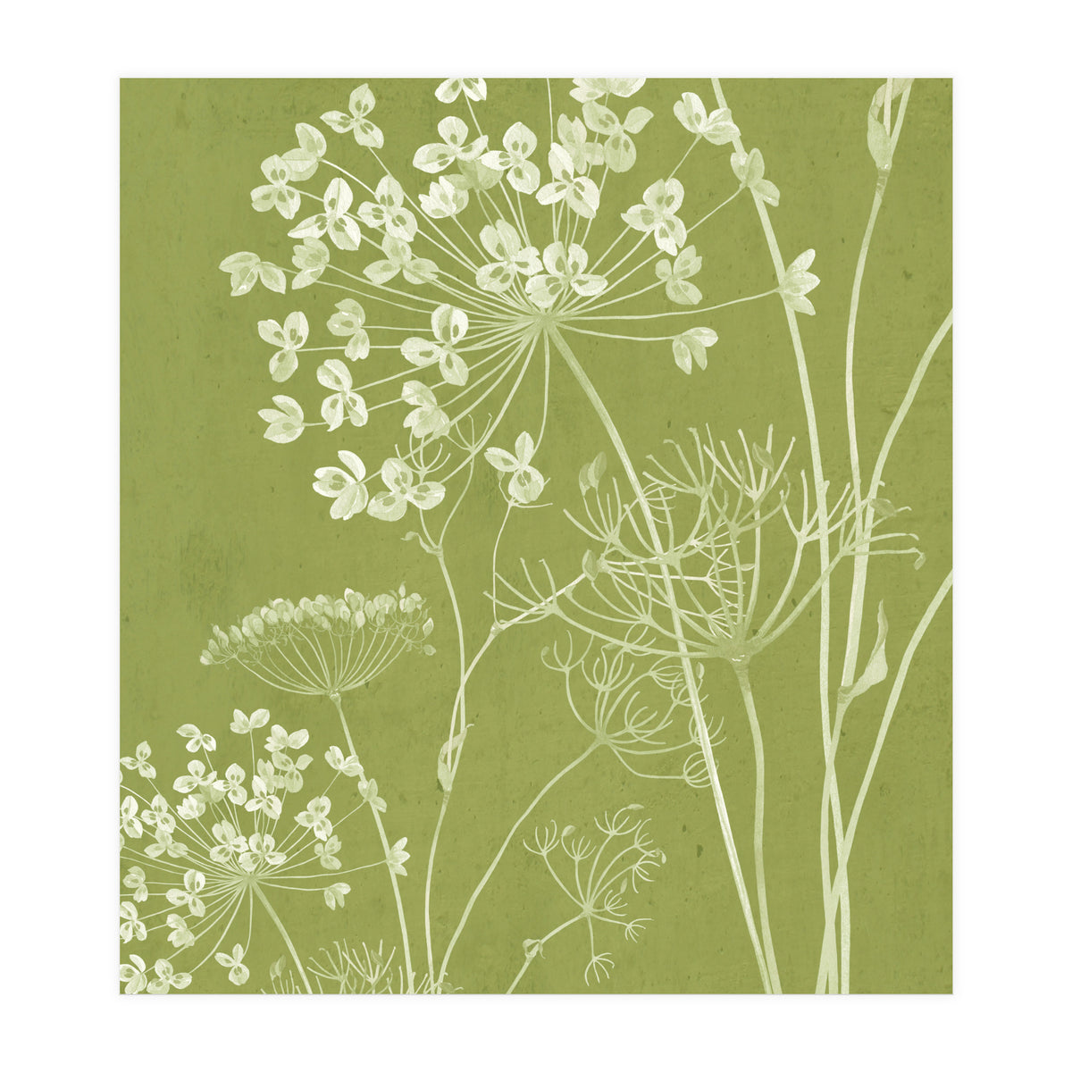Wildflowers III (Print Only)